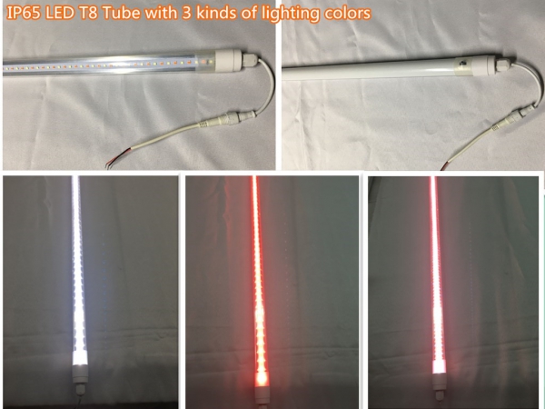 Switchable CCT LED lights for refrigeration equipment more efficient and cost-effective