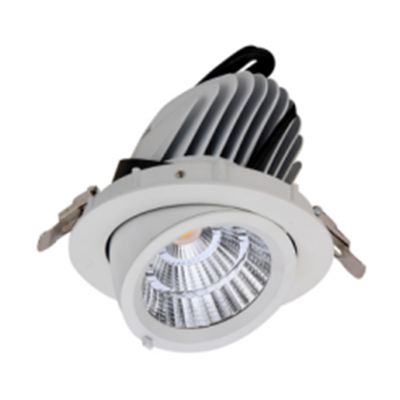 Adjustable Trunk COB Downlight 15W 30W 40W 50W with CRI>90